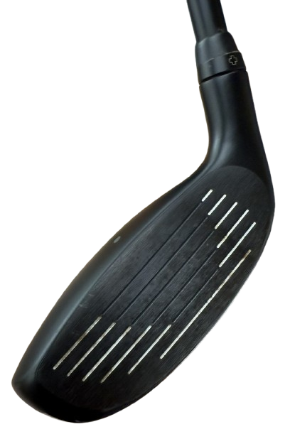 IMG_5491-removebg-preview (1)