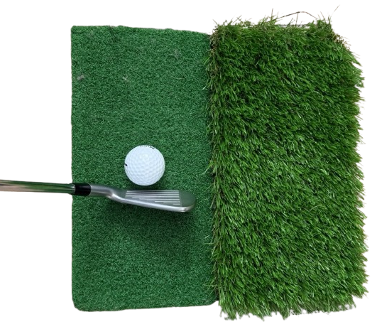 IMG_5586-removebg-preview - Copy